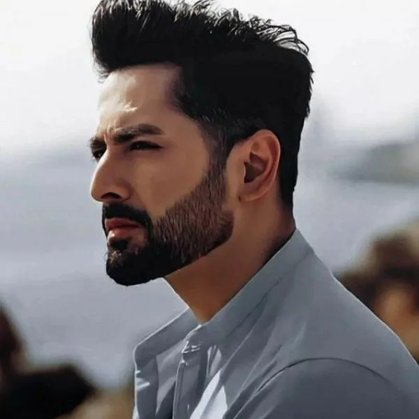 classic beard style