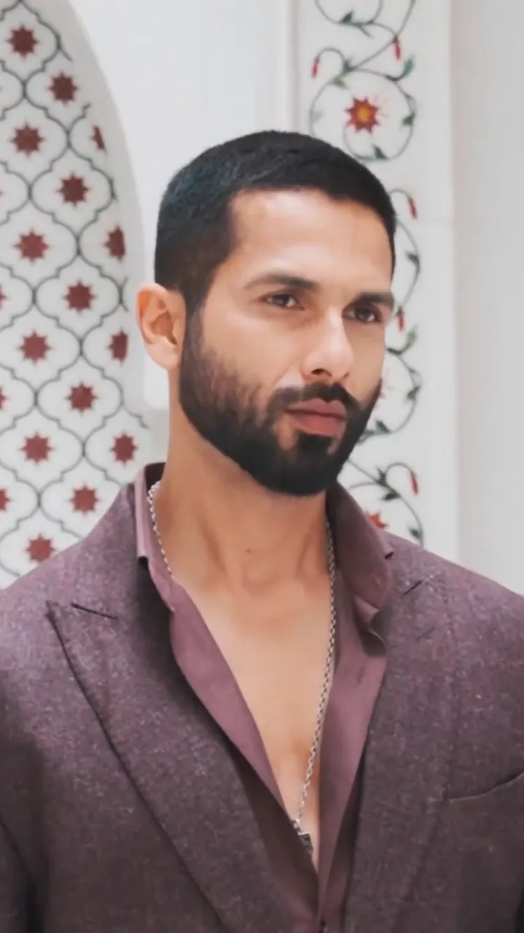 Shahid Kapoor hairstyle photo