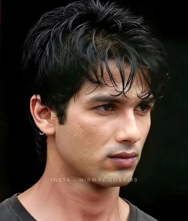 Shahid Kapoor hairstyle photo