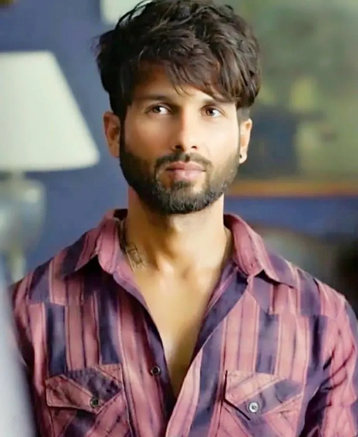 Shahid Kapoor hairstyle photo