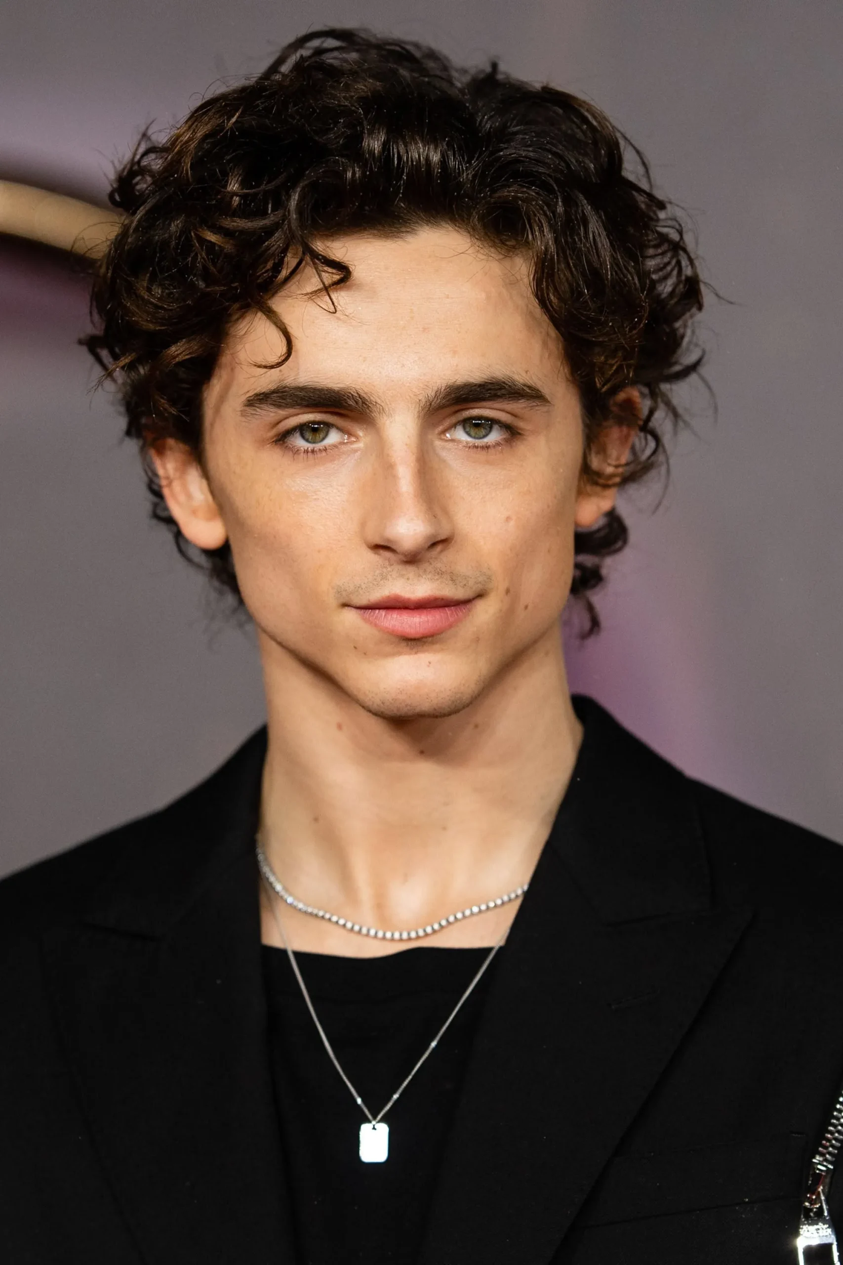 messy long wavy curly hair profile for men